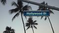 Hollywood Blvd Sign With Palm Trees