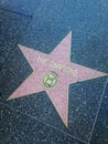 The Simpsons Hollywood walk of fame star. Royalty Free Stock Photo