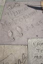 Hollywood chinese theatre celebrities hand footprint