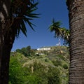 The Hollywood Sign