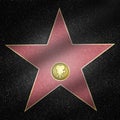 Hollywood Star Framed Boulevard - Film Star