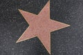 Hollywood star