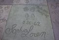 Hollywood Walk of Fame, Sofia Loren