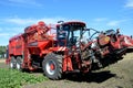 HOLMER T-4-40 beet harvester on the beetroot field Royalty Free Stock Photo
