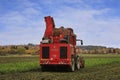 Holmer Terra Dos T3 Beet Harvester Working in Field