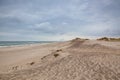 Holmsland Dunes next to Hvide Sande in Denmark Royalty Free Stock Photo