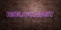HOLOCAUST - fluorescent Neon tube Sign on brickwork - Front view - 3D rendered royalty free stock picture