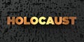 Holocaust - Gold text on black background - 3D rendered royalty free stock picture
