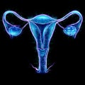 Hologram of the female organ of the uterus with different medical indications, ultrasound of the uterus. Ultrasound concept,