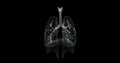 Hologram of the respiratory system of a human body - loop