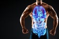 A holographic projection of a scan of human internal organs inside the body of a bodybuilder. The concept of modern medicine, Royalty Free Stock Photo