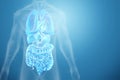 Holographic projection of scanning of human internal organs. The concept of modern medicine, digital x-ray, new technologies, Royalty Free Stock Photo