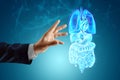 Holographic projection of scanning of human internal organs. The concept of modern medicine, digital x-ray, new technologies, Royalty Free Stock Photo