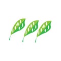 holow leaves vector Royalty Free Stock Photo