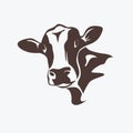 Holstein cow portrait Royalty Free Stock Photo