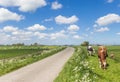 Holstein cows at the dike in the dutch landscape near Groningen Royalty Free Stock Photo