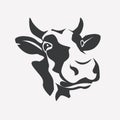 Holstein smiling cow portrait