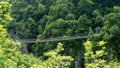 Holtzarte suspension bridge, Aquitaine, France