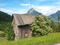 Elderberry bush at an old wooden barn in front of the Traunstein, Austria, Europe