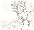 Zacchaeus. The man in the tree looks out into the crowd. Pencil drawing Royalty Free Stock Photo