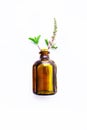 Holy Basil Essential Oil in a Glass Bottle with Fresh Holy Basi