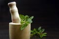 Holy Basil or Tulsi queen of herbs and wooden mortar Royalty Free Stock Photo