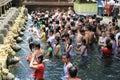 HOLY BATH IN TIRTA EMPUL