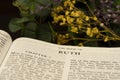 Holy bible Book Index Subject The Book of Ruth for background and inspiration Royalty Free Stock Photo