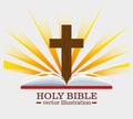 holy bible design Royalty Free Stock Photo