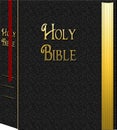 HOLY BIBLE GRAPHIC Royalty Free Stock Photo