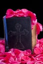 Holy bible Royalty Free Stock Photo