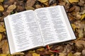 Holy Bible. Open Bible on top of fallen autumn leaves