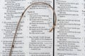 Holy Bible opened in Psalm 23 of David with small wooden staff over the text.