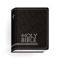 Holy Bible. Vector Vintage Leather Brown Book Royalty Free Stock Photo