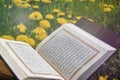The Holy Quran Royalty Free Stock Photo