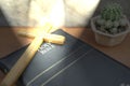 Holy cross and bible and cactus background on the table Royalty Free Stock Photo