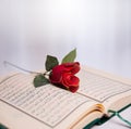 Holy Quran and roses.