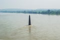 Holy River Narmada and Lamp Tower India