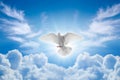 Holy Spirit came down in bodily shape, like dove. Bright light shines from heaven, white dove is symbol of purity and peace Royalty Free Stock Photo