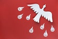 seven gifts of holy spirit in the form of a white dove, the flames of the gifts of the holy spirit