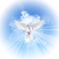 Holy Spirit Ghost Baptism Dove Falling from Sky Clouds Illustration