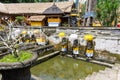 Holy spring water at Goa Gajah temple Royalty Free Stock Photo