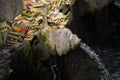 Holy Spring Water Tirta Empul Hindu Temple , Bali Indonesia. Royalty Free Stock Photo