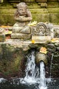 Holy spring water in Tirta Empul Temple