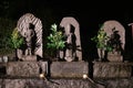 Holy statues at Buddhist Asukadera Temple in Asuka