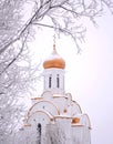Holy temple Russia Surgut