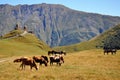 Holy Trinity Monastery in Gergeti, Georgia Royalty Free Stock Photo