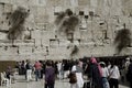 Holy Wailing Wall (Place for women)