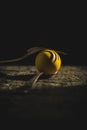 Holy Week, Good Friday Concept -Close-up on Yellow Easter Egg in Spoon on Dark Background