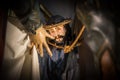 Holy week Royalty Free Stock Photo